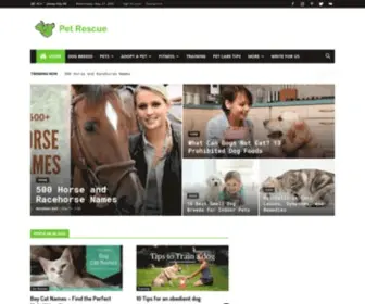 Petrescueblog.com(Pet Rescue Blog) Screenshot