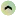 Petri.bio Favicon