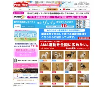 Pets-HOP.com(里親募集犬) Screenshot