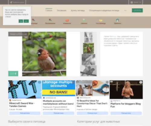 Pets1.ru(Проект) Screenshot