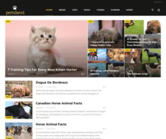 Petsbest.xyz(Great information about pet) Screenshot