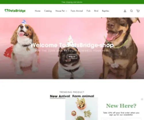 Petsbridge.com(Pet Clothes and Accessories Online Shop) Screenshot