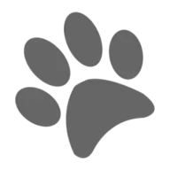 Petsbyair.com Favicon