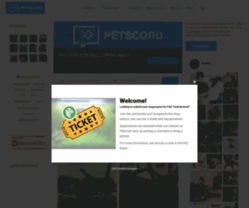 Petscord.com(KonsoleH) Screenshot
