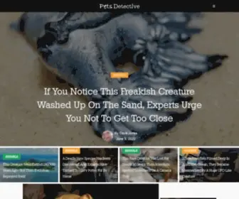 Petsdetective.com(Pets Detective) Screenshot