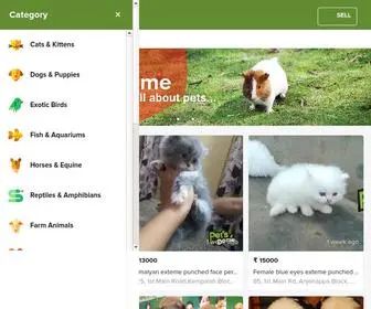 Petsdome.com(Online Classifieds Platform to Buy Sell Locally) Screenshot