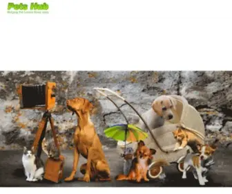 Petshub.com(Pet Forum Pets Forums) Screenshot