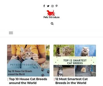 Petsintroduce.com(Pets Introduce) Screenshot