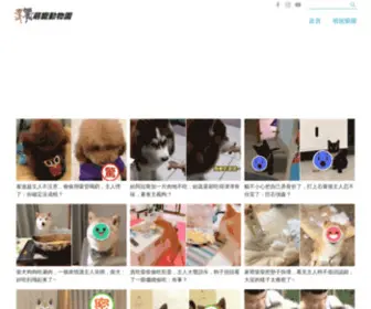 Petsonelove.com(萌寵控) Screenshot