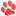 Petssky.com Favicon