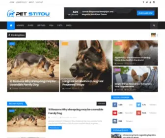 Petstitou.com(Pet stitou) Screenshot