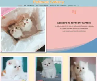 Pettocatcattery.com(PETTOCAT CATTERY) Screenshot