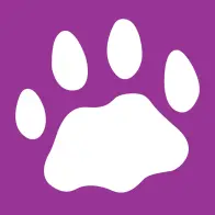 Pettogive.com Favicon