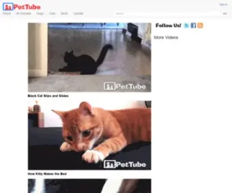 Pettube.com(PetTube) Screenshot