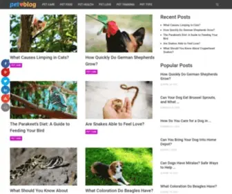 PetvBlog.com(PetvBlog) Screenshot