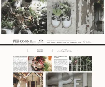 Peu-Connu.net(PEU) Screenshot