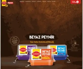 Peysan.com.tr(TACİROĞLU) Screenshot