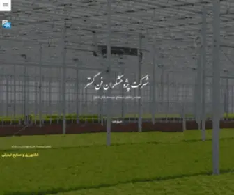 PFG-CO.com(صفحه اصلی) Screenshot