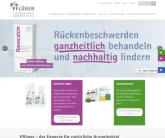 Pflueger.de(Schüßler) Screenshot