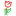 Pfron.org.pl Logo