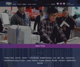 PGM.com.cn(美国PGM) Screenshot