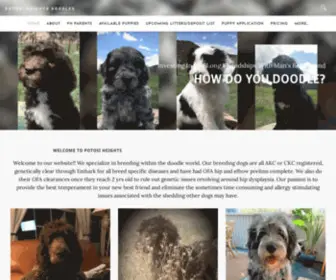 Phdoodlesco.com(POTOSI HEIGHTS DOODLES) Screenshot