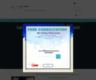 Pheniix.com(IT Consulting)) Screenshot