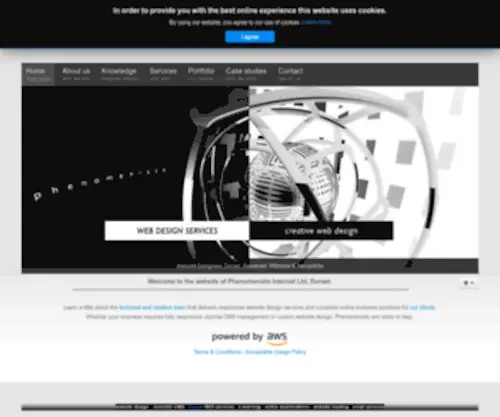 Phenomenists.com(Website Design Company) Screenshot