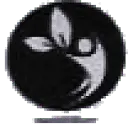 Phesterconsult.com.ng Favicon