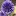 Philperry.co.uk Favicon
