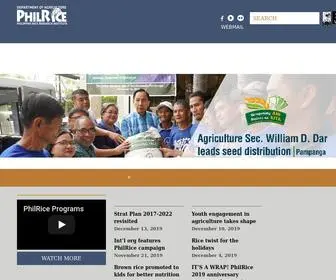 Philrice.gov.ph(Philippine Rice Research Institute) Screenshot