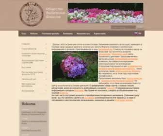 Phloxes.ru(Общество) Screenshot
