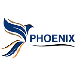 Phoenixsurgicalth.com Favicon