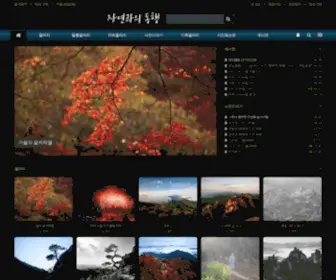 Photonfeel.com(사진가 김정태) Screenshot