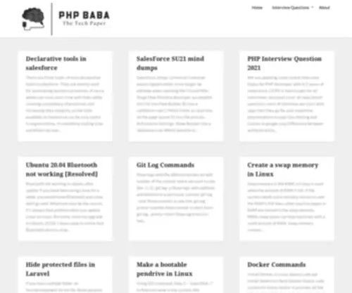 PHpbaba.com(Batch Class in Salesforce The Tech Paper) Screenshot