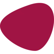 Phsag.ch Logo