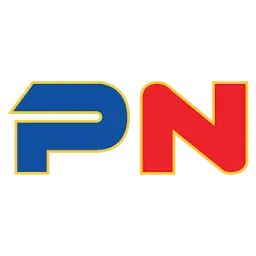 Phuongnamsolar.vn Favicon