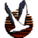 Pialli.it Favicon