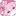 PicacGZ.cn Favicon