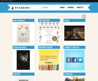 Picadorusa.com(Picadorusa) Screenshot