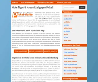 Pickel-Guide.de(Ihr Ratgeber zum Thema Hautunreinheiten) Screenshot