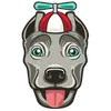 Picklesplayland.dog Logo
