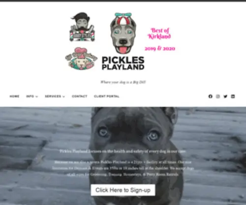 Picklesplayland.dog(Where your dog) Screenshot