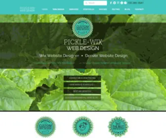 Picklewix.com(Wix Designer) Screenshot