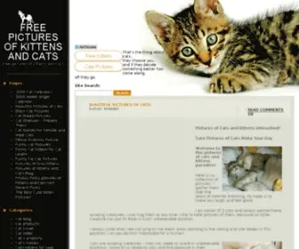 Pictures-OF-Kittens-AND-Cats.com(Free pictures of kittens and cats) Screenshot