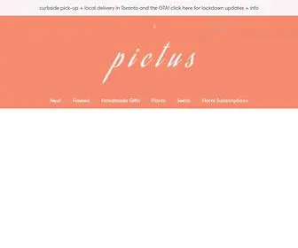 Pictusgoods.com(Pictus Goods) Screenshot