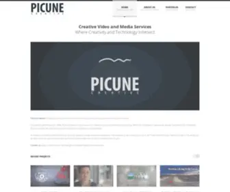 Picune.com(Picune Creative) Screenshot