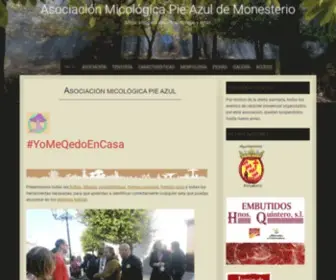 Pieazul.es(Asociación) Screenshot