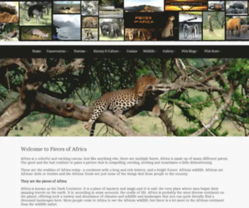 Piecesofafrica.com(Pieces of Africa) Screenshot