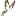 Pielor.com Favicon